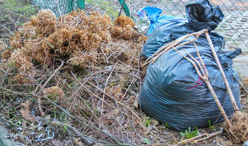 Yard Waste Removal